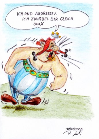 obelix_01kl.jpg