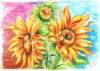sonnenblume_postkarte_kl_small.jpg